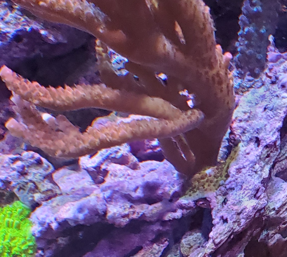 20220423_092606.jpg