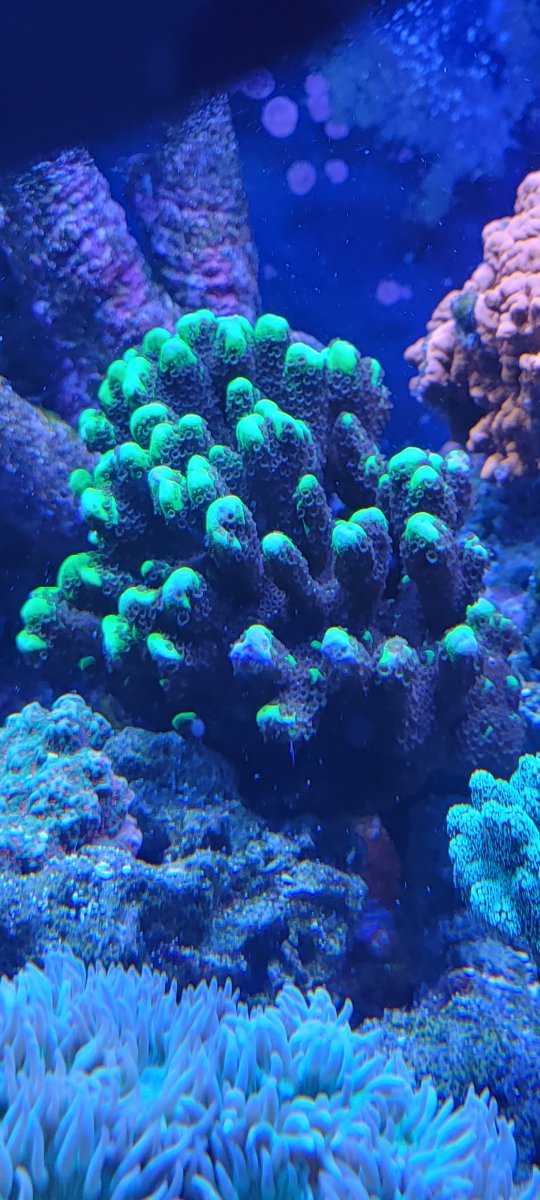 20220429_191835.jpg