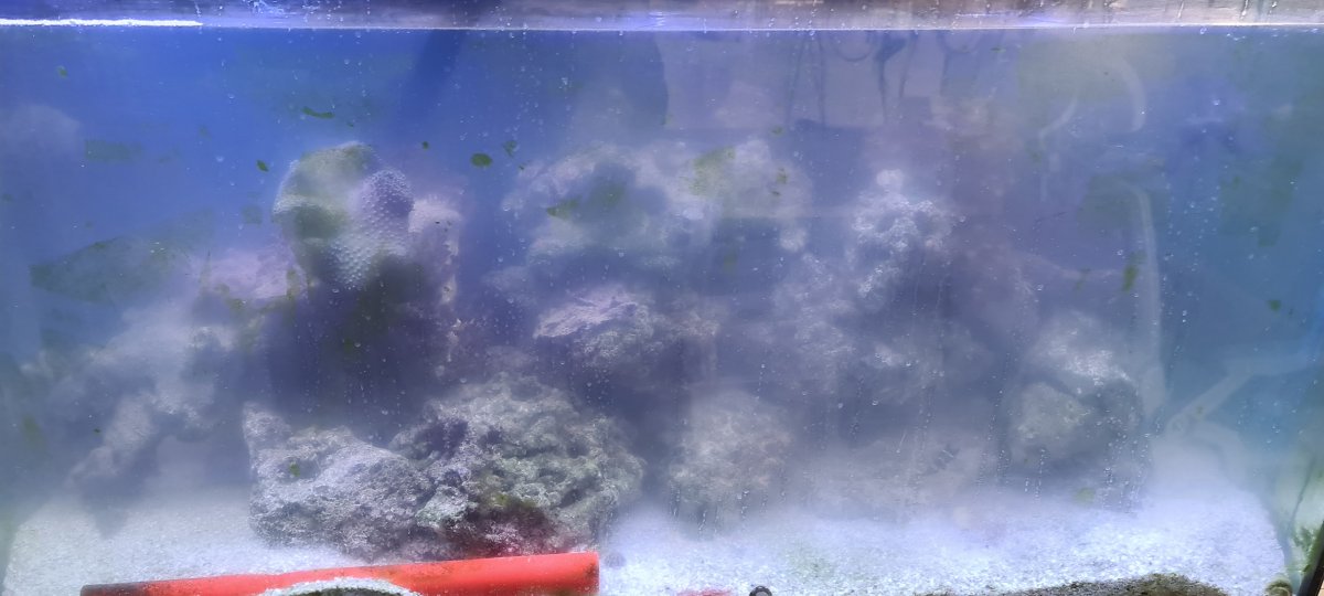 20220505_071700.jpeg