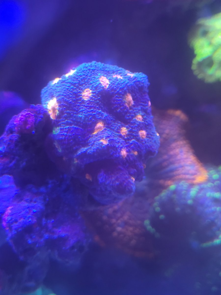 20220605_202012.jpg