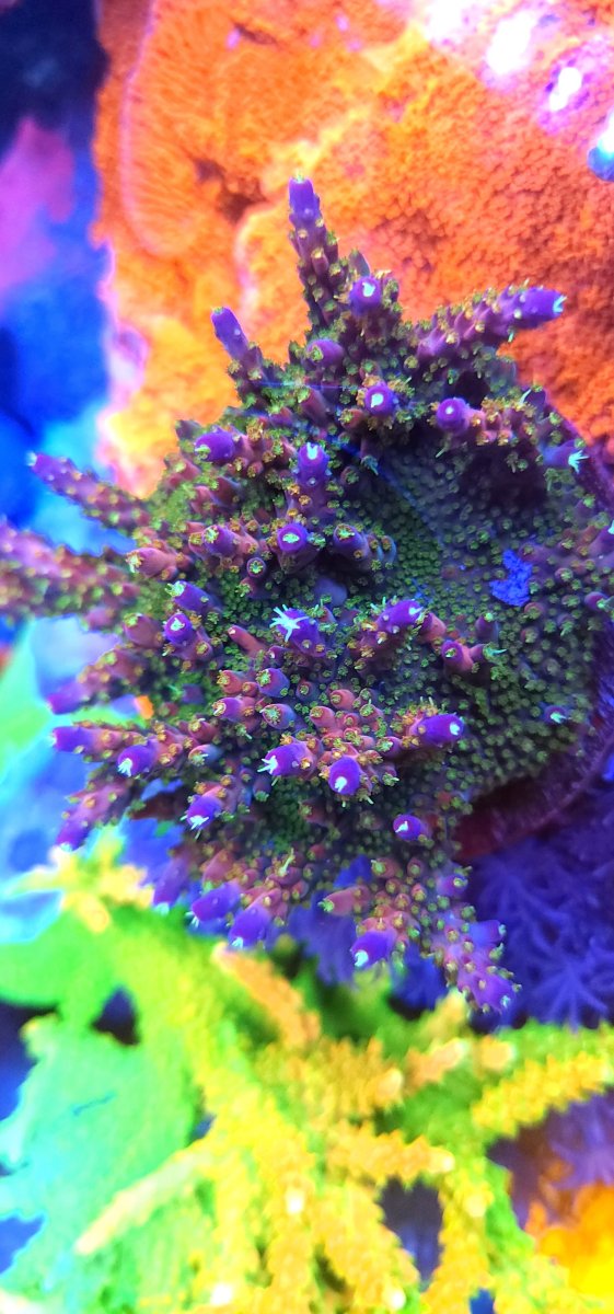 20220613_091301.jpg
