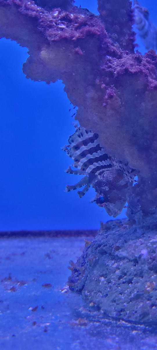 20220617_165211.jpg