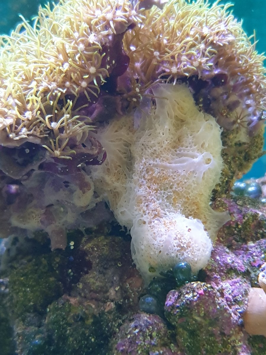 20220709_124411.jpg