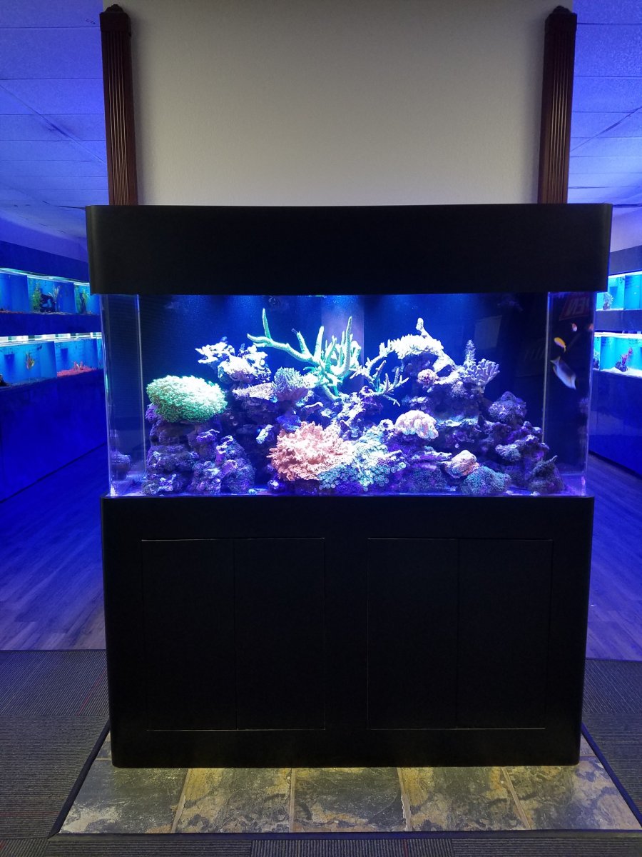 Aquarium Store for Sale REEF2REEF Saltwater and Reef Aquarium Forum
