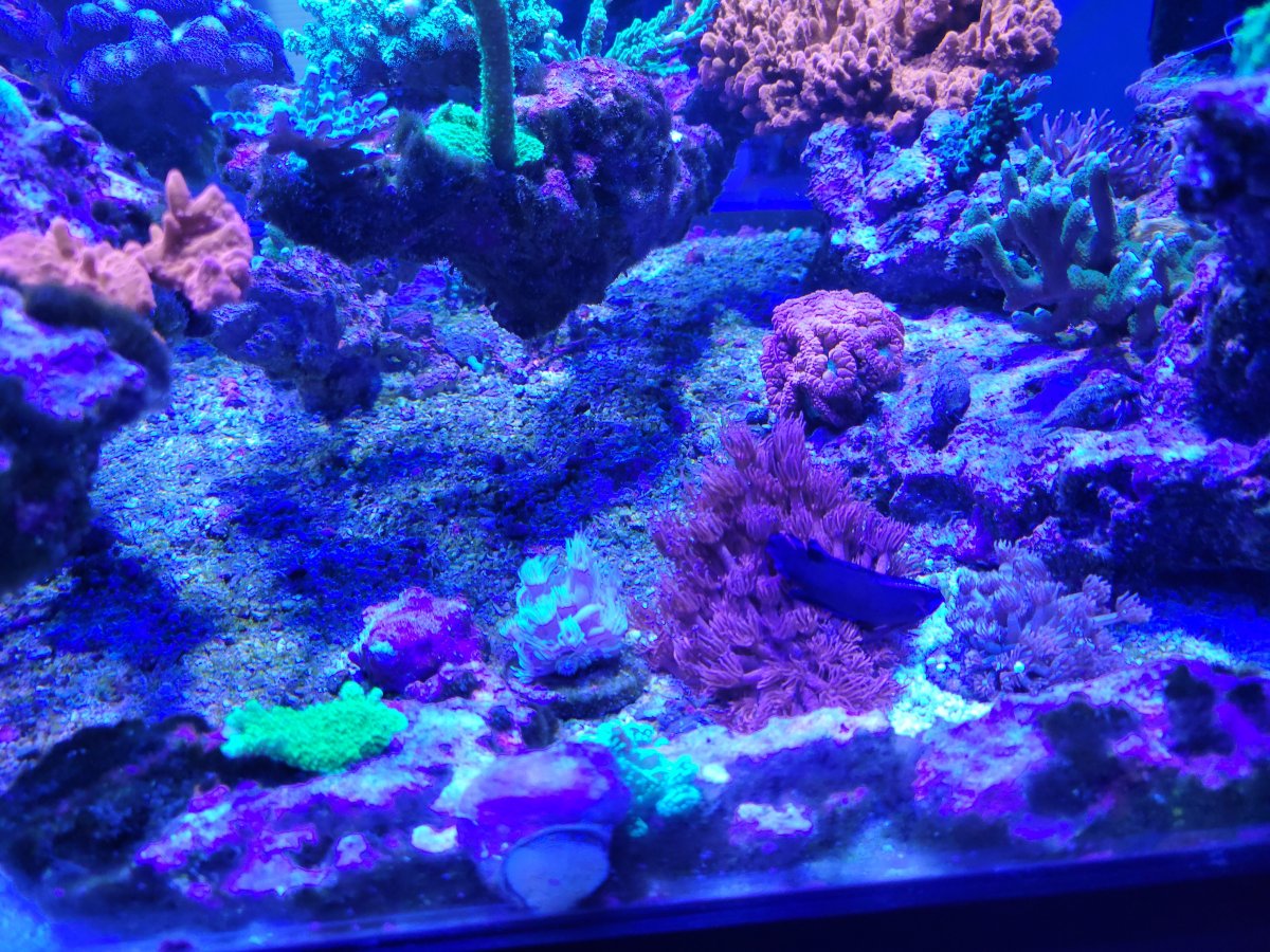 20220831_170947.jpg
