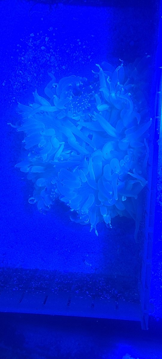 20220902_124320.jpg