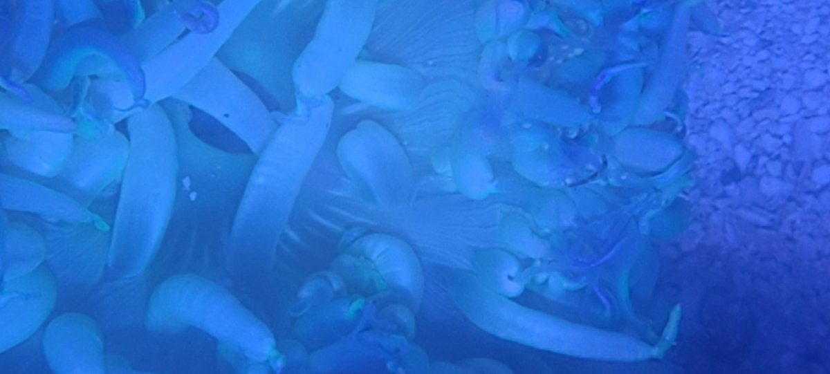 20220902_125555.jpg