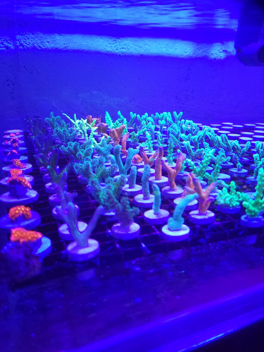 20220915_215925.jpg