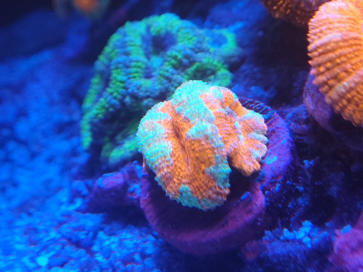 20220928_203316.jpg