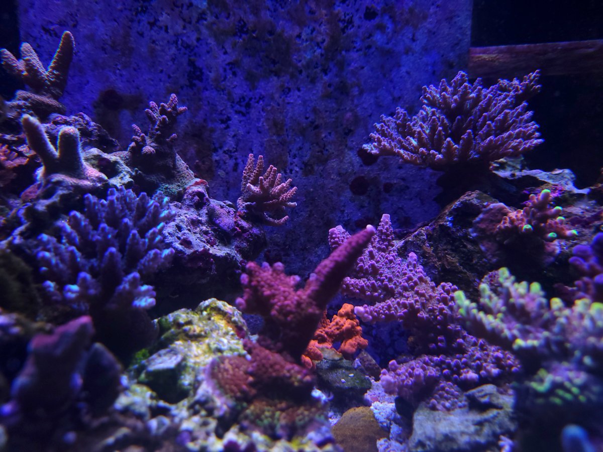 20221014_155345.jpg
