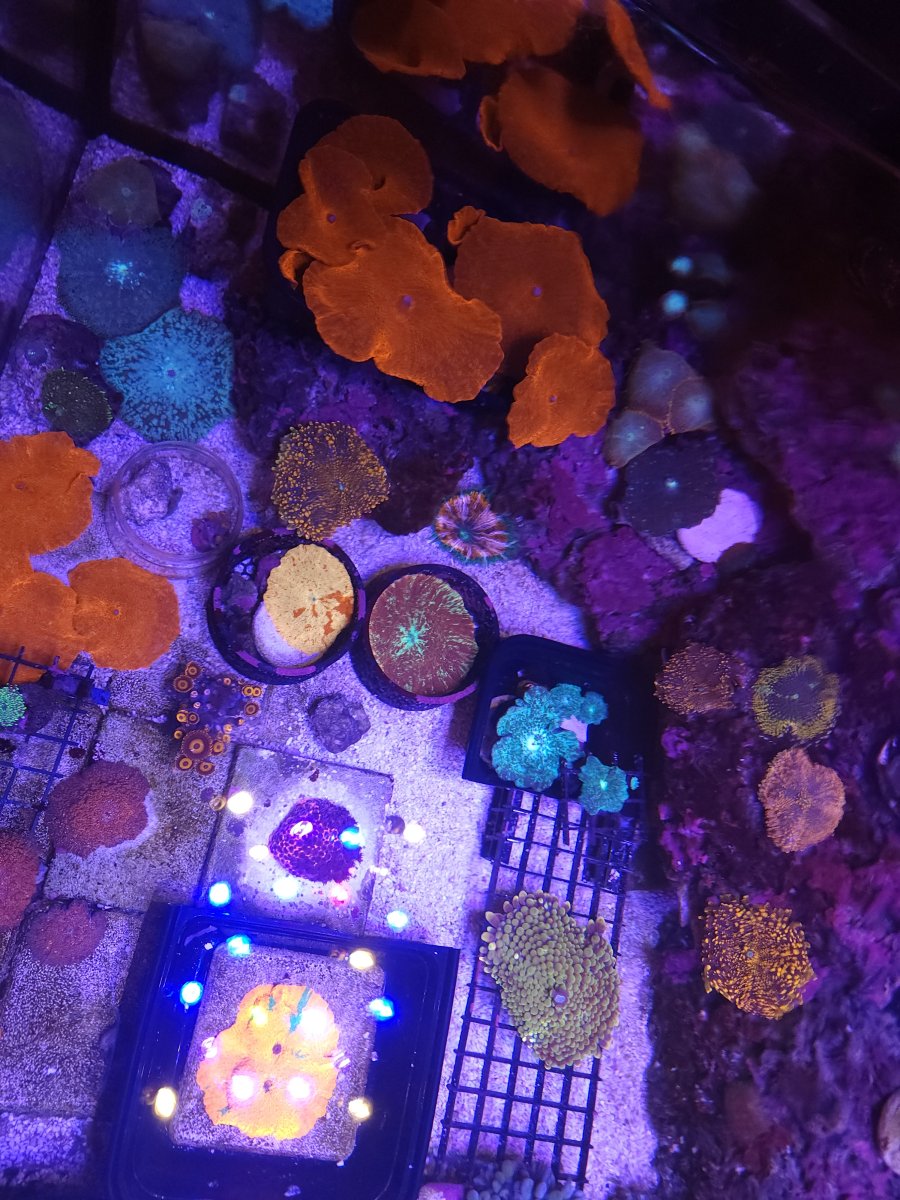 20221106_104358.jpg