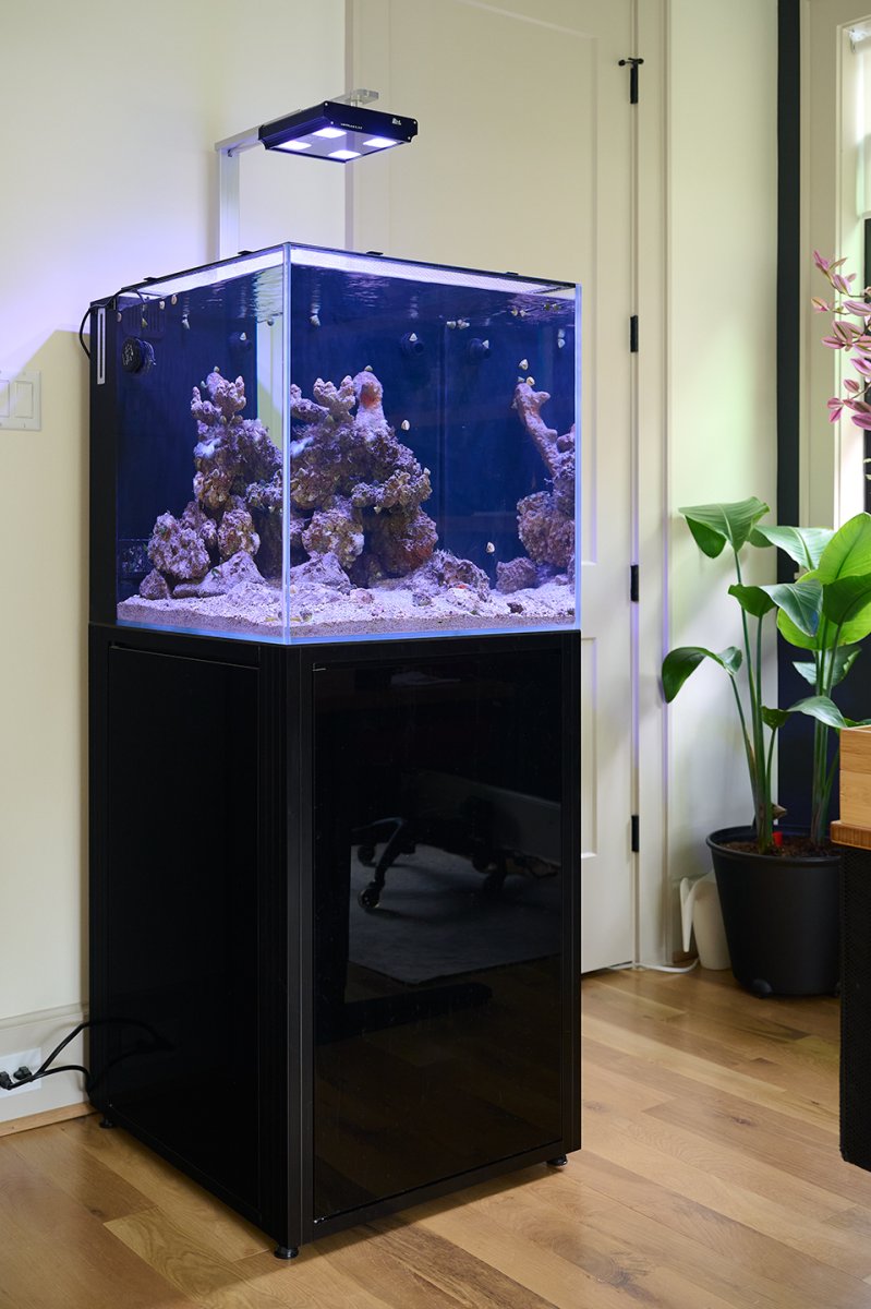 20221111-DSC_2139-Reef.jpg