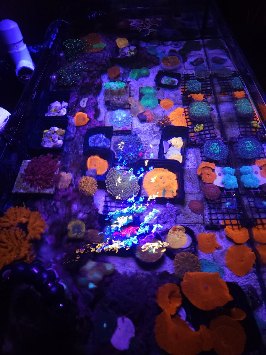 20221111_084650.jpg