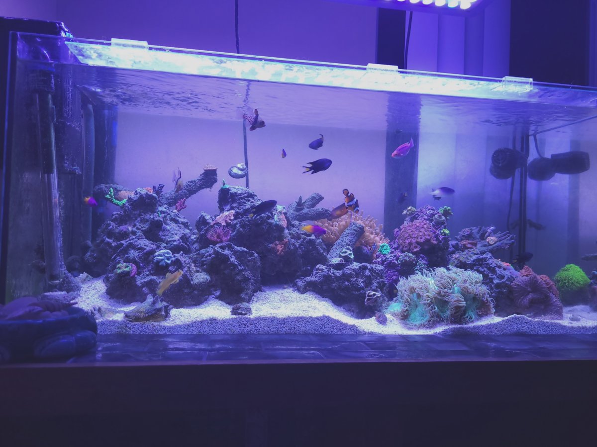 20221229_180224.jpg