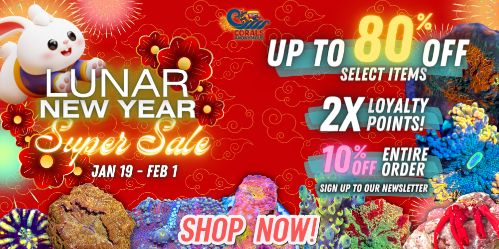 2023 Chinese New Year Super Sale (1).png