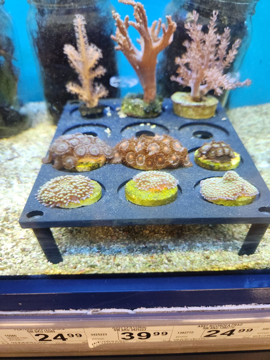 Petco saltwater aquarium deals