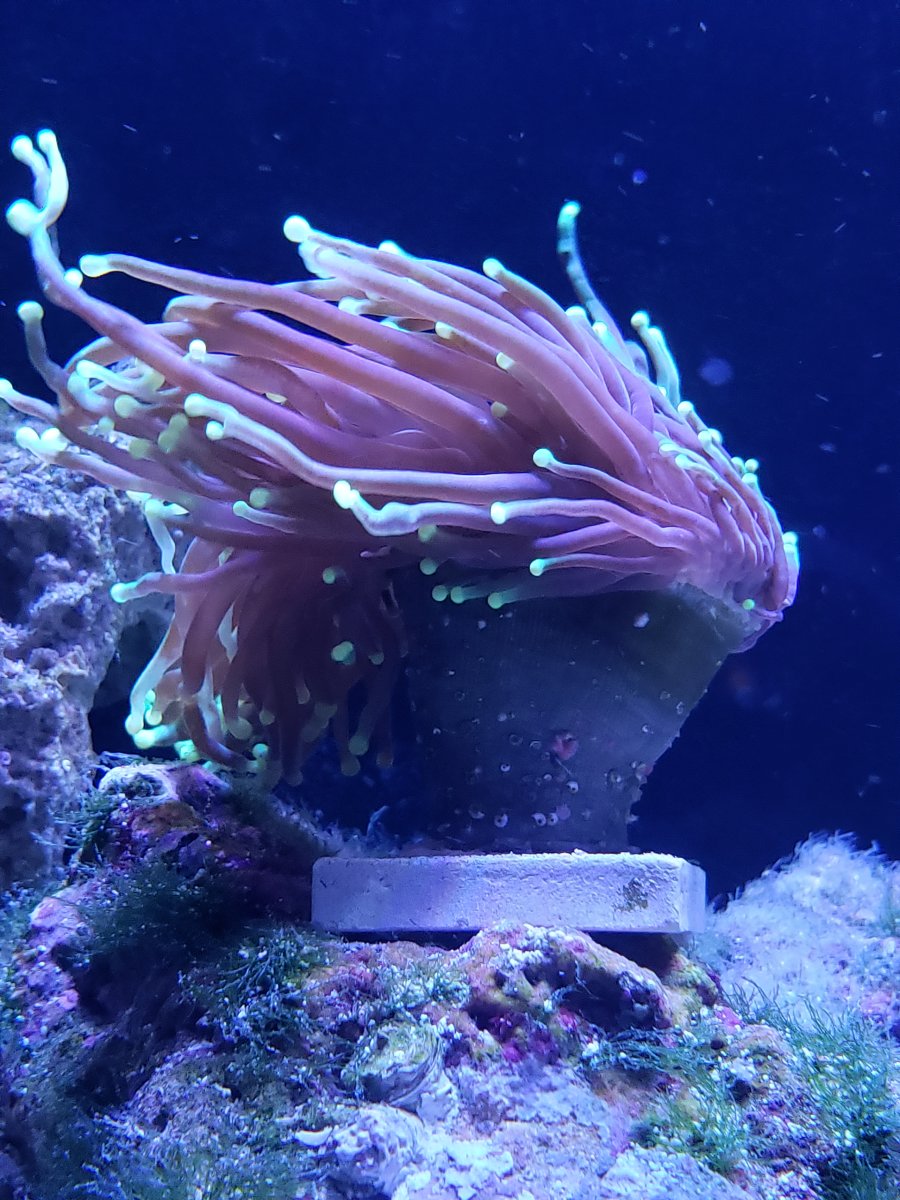 Hugs! send some cool photos | Page 2 | Reef2Reef