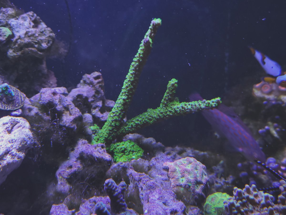 20230206_192253.jpg