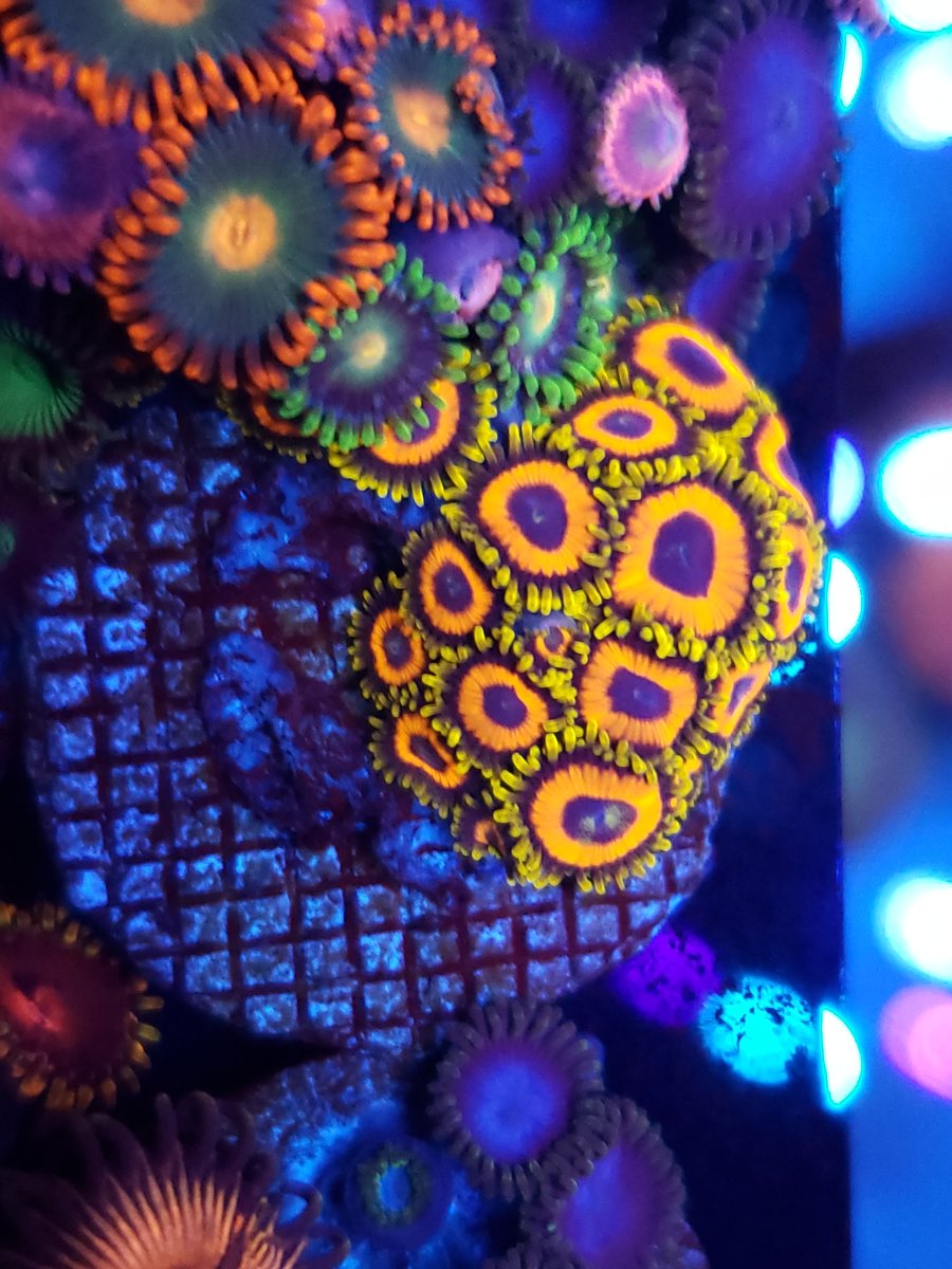 20230223_215237.jpg
