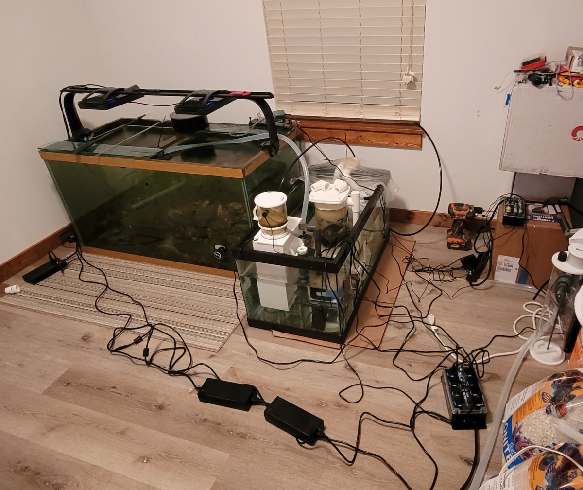 20230302_045440.jpg