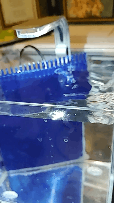20230308_191720.gif