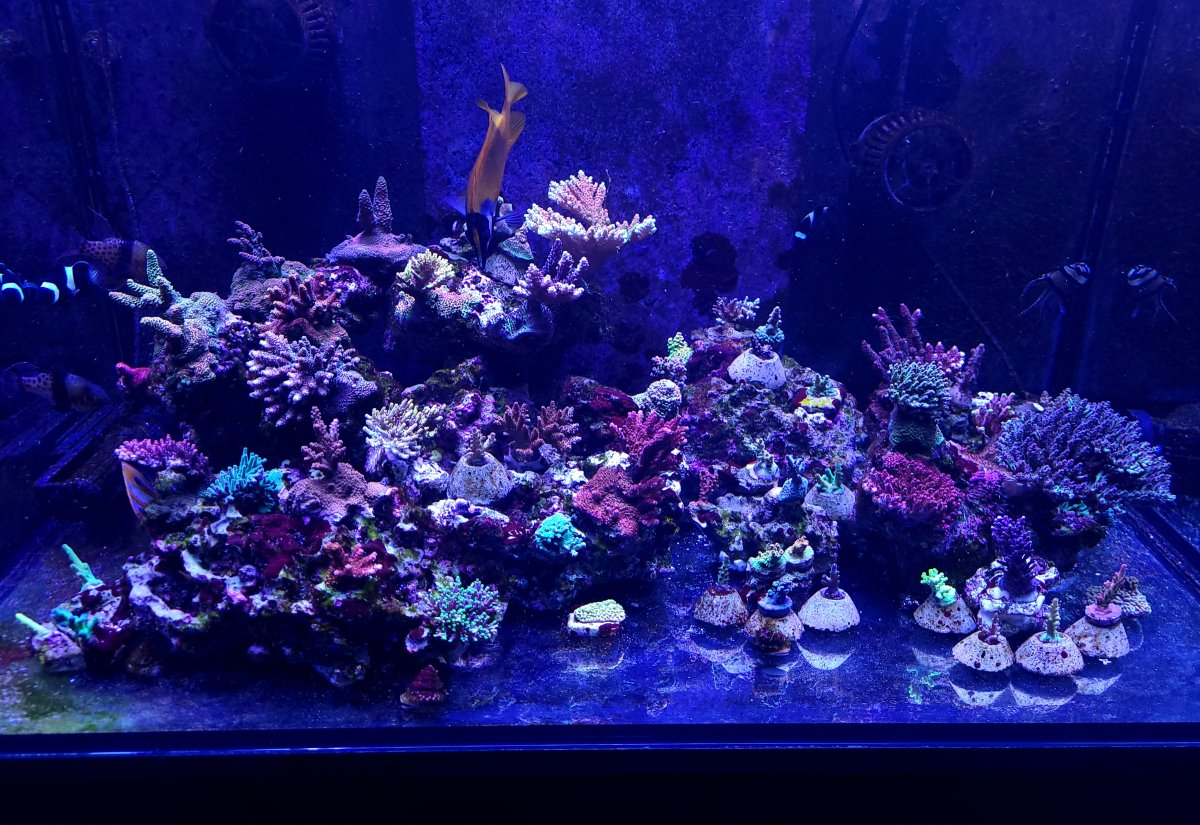 20230319_104253.jpg