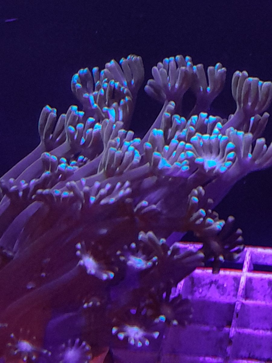 20230411_174357.jpg