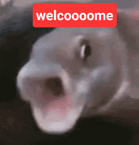 20230422_120208.gif