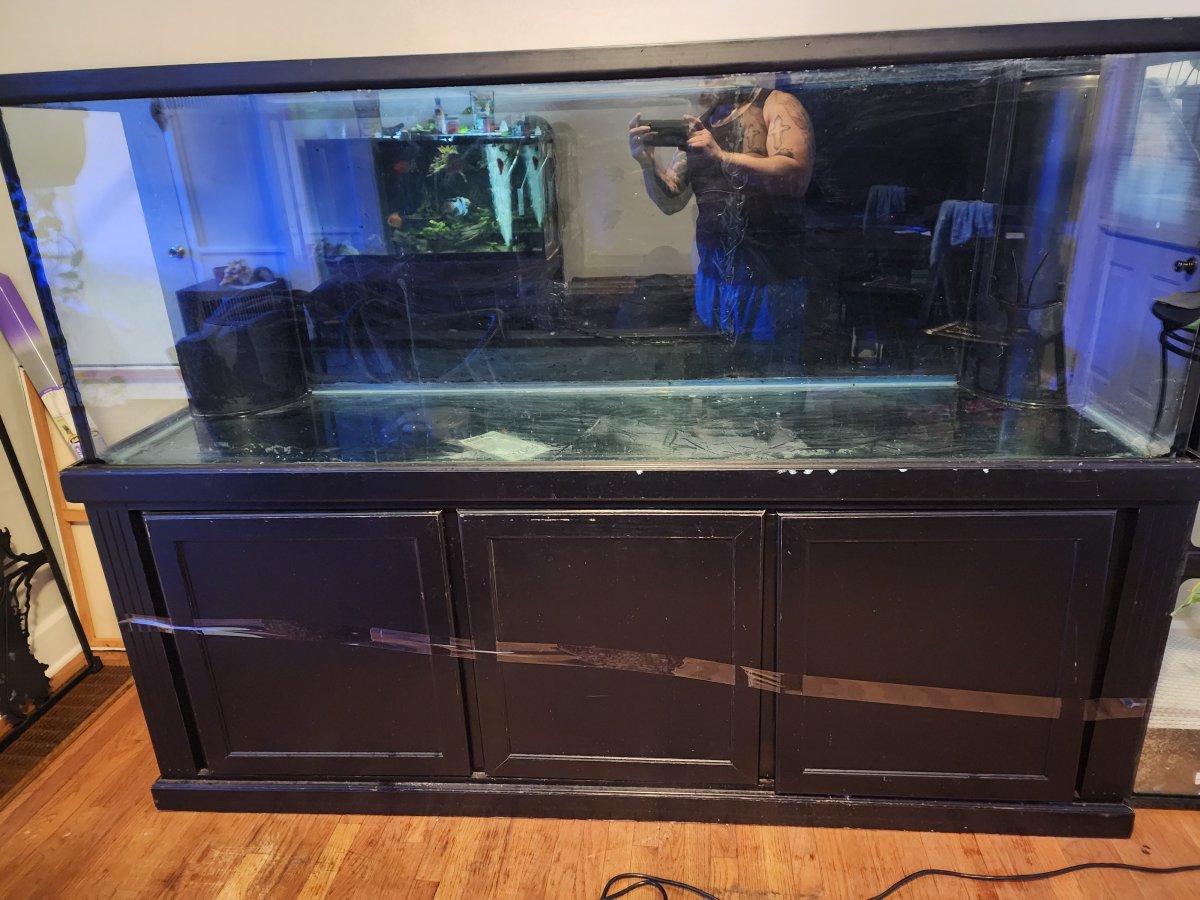 265 gallon on sale aquarium