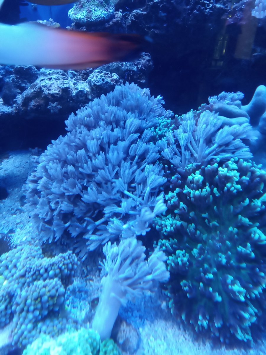20230428_164920.jpg