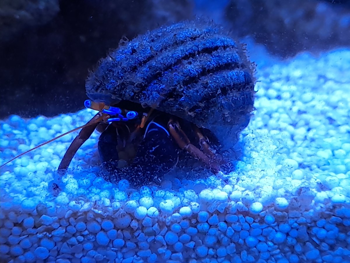 20230623_155152.jpg