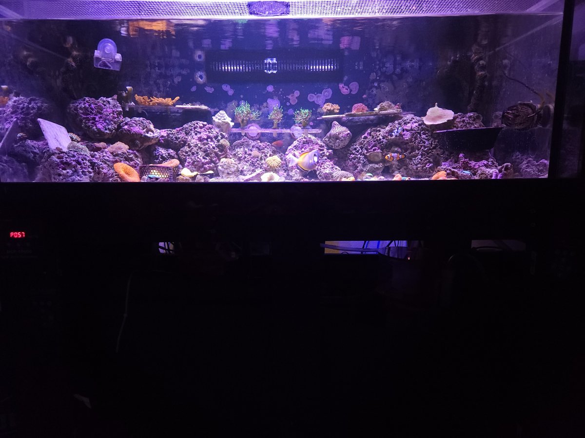 20230623_173903.jpg