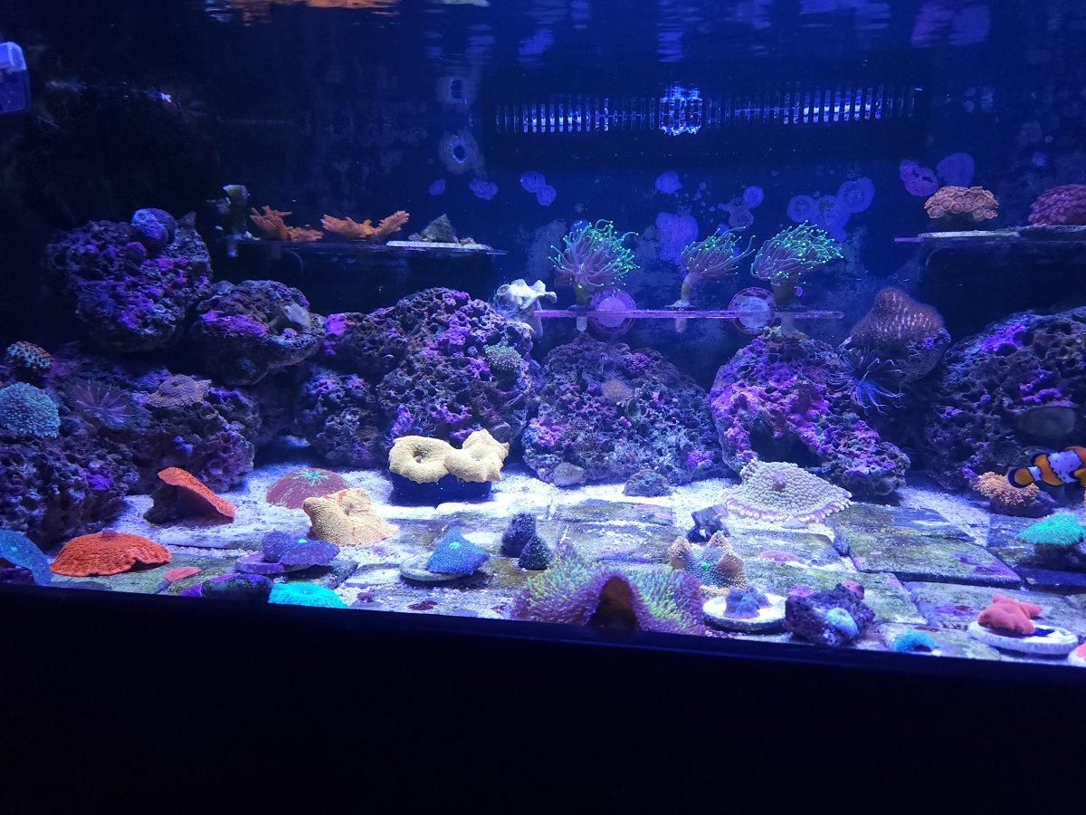 20230701_092415.jpg