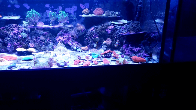 20230712_121102_1.gif