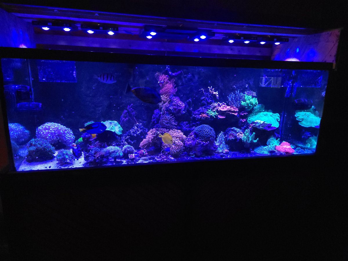 20230712_200422.jpg