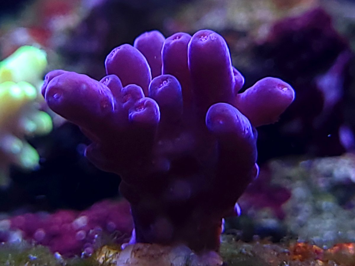 20230731_115850.jpg