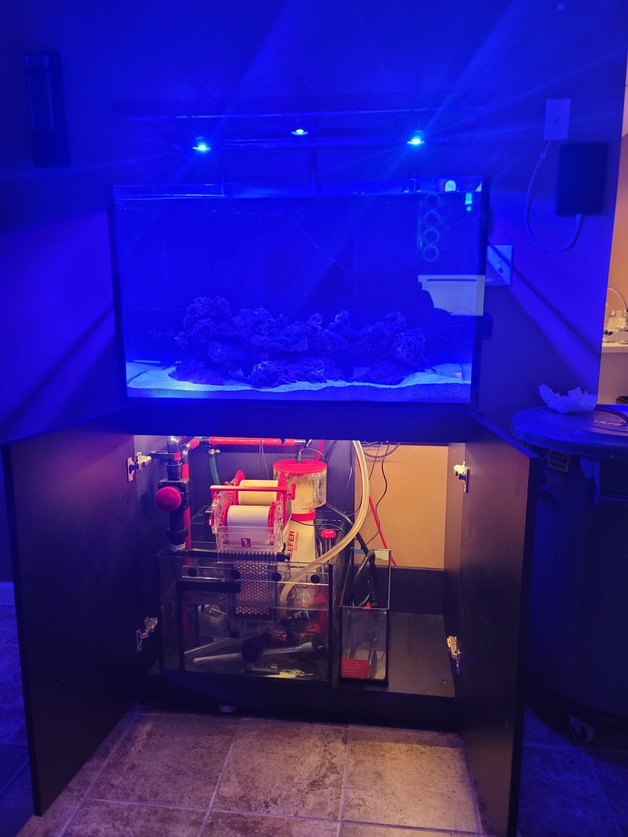 Anybody have a good lighting schedule for Kessil A360X and