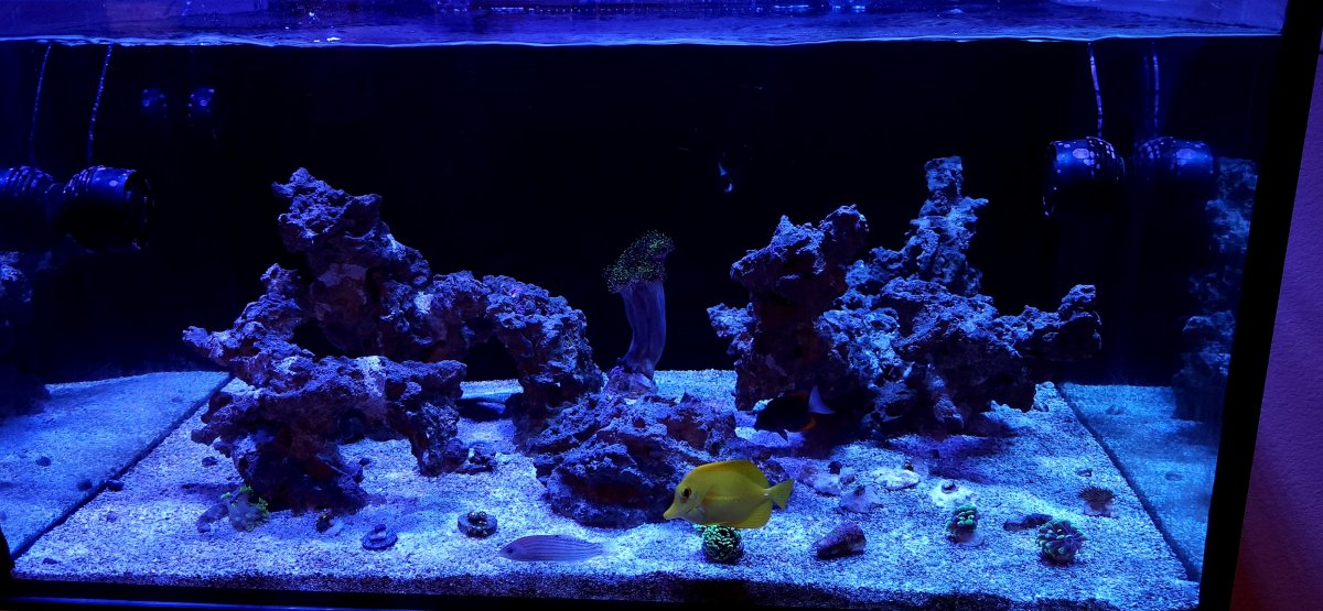 20230830_124106.jpg