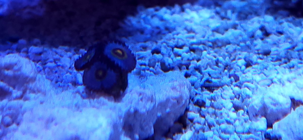 20230830_130642.jpg