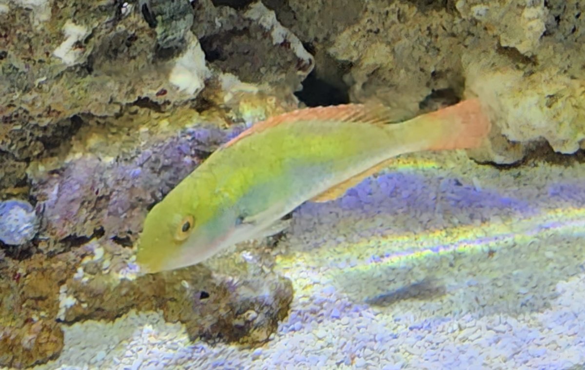 20230917_171653.jpg