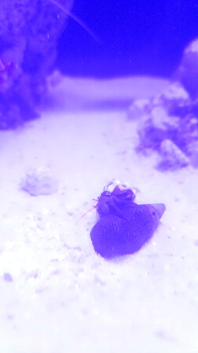 20230922_192053.jpg