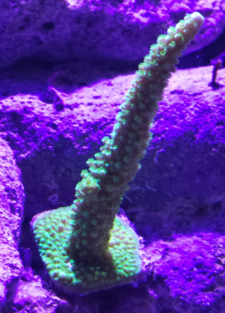 20231006_131349.jpg