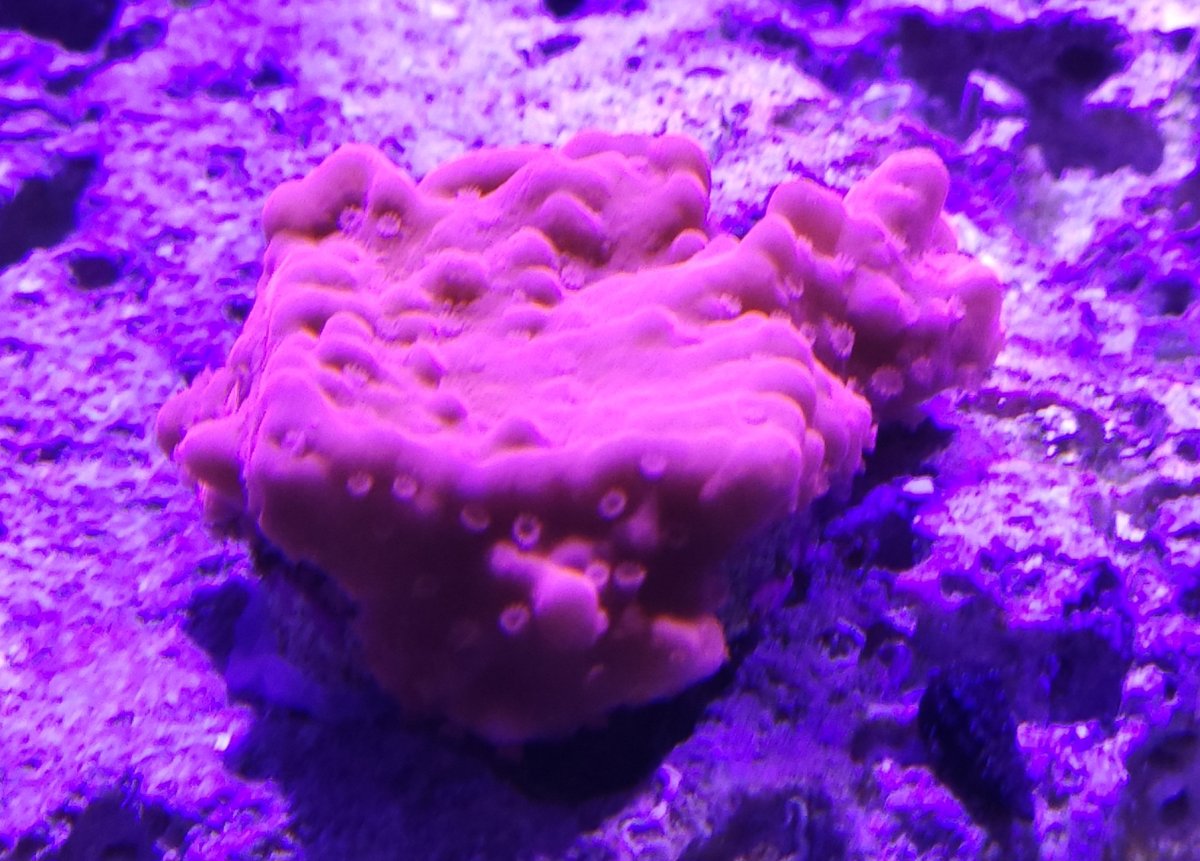 20231006_131357.jpg