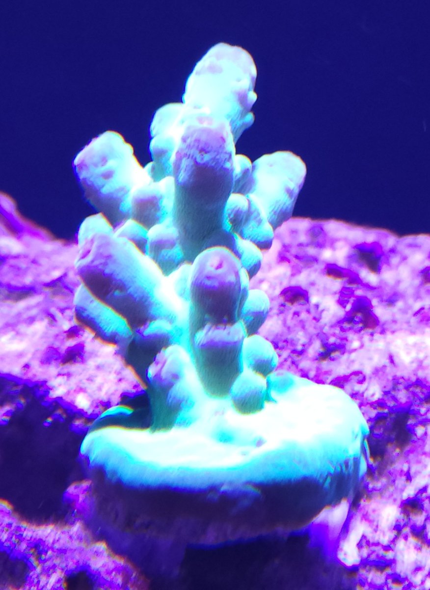 20231006_131404.jpg