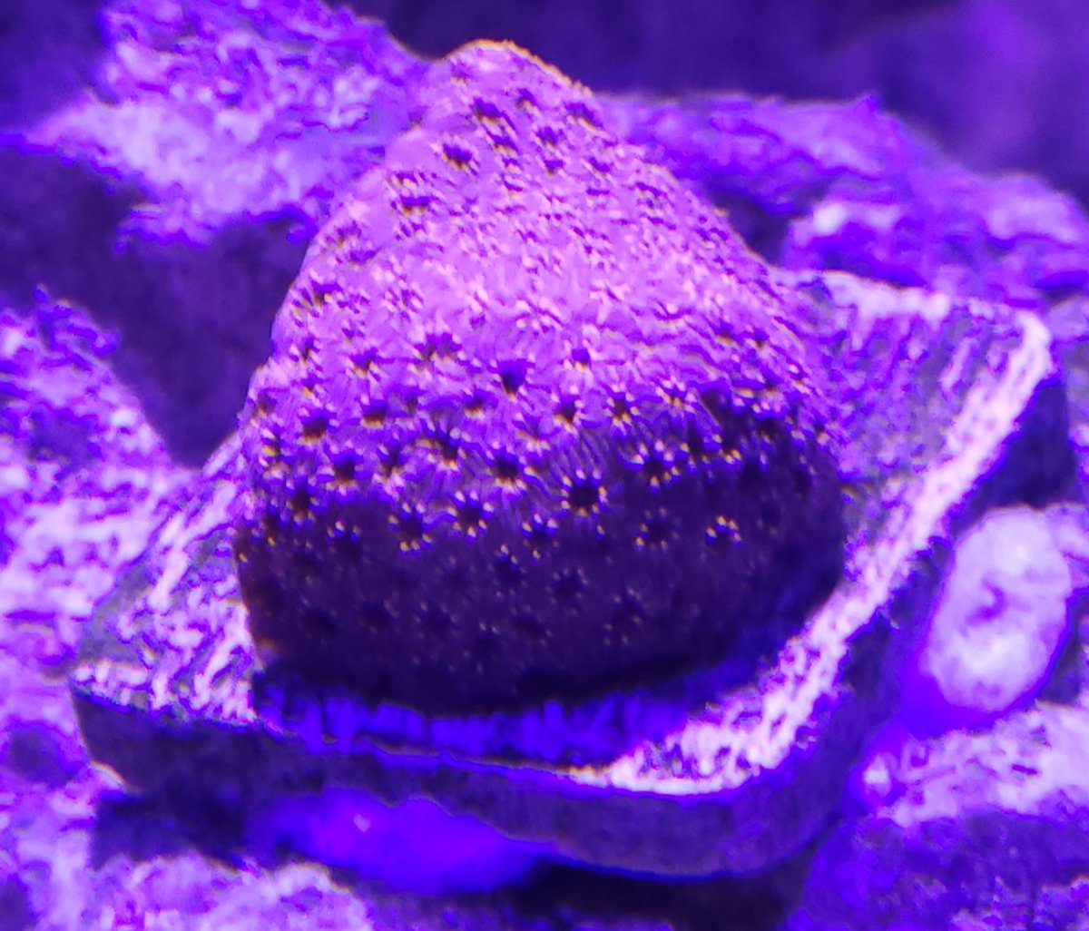 20231006_131423.jpg