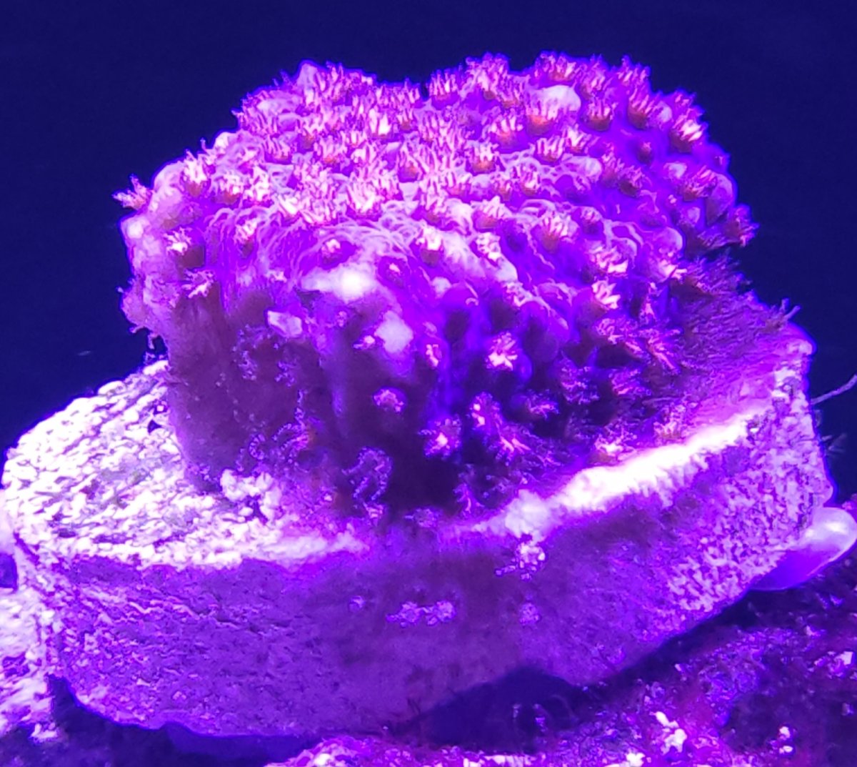 20231006_132026.jpg