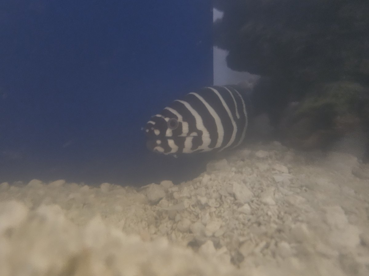 20231015_215405.jpg