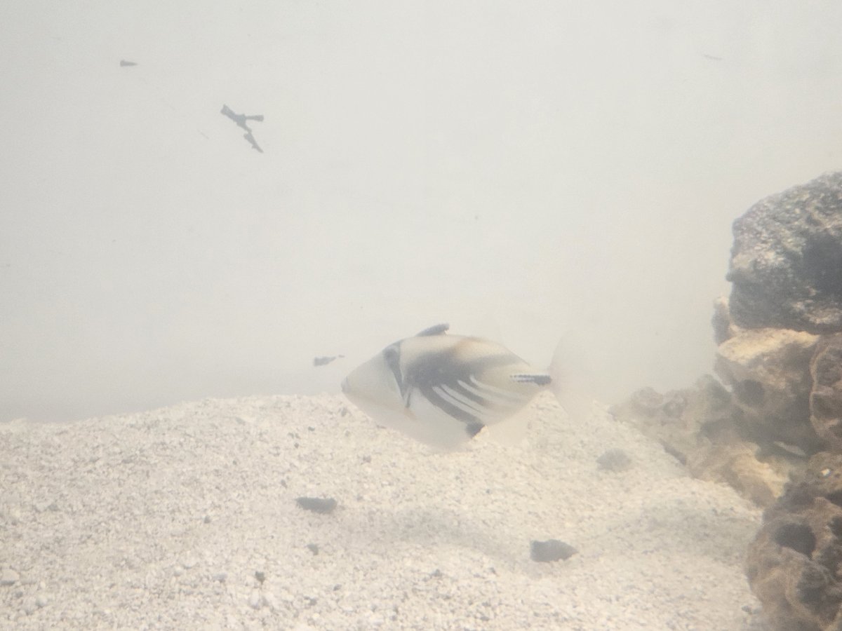 20231016_182027.jpg