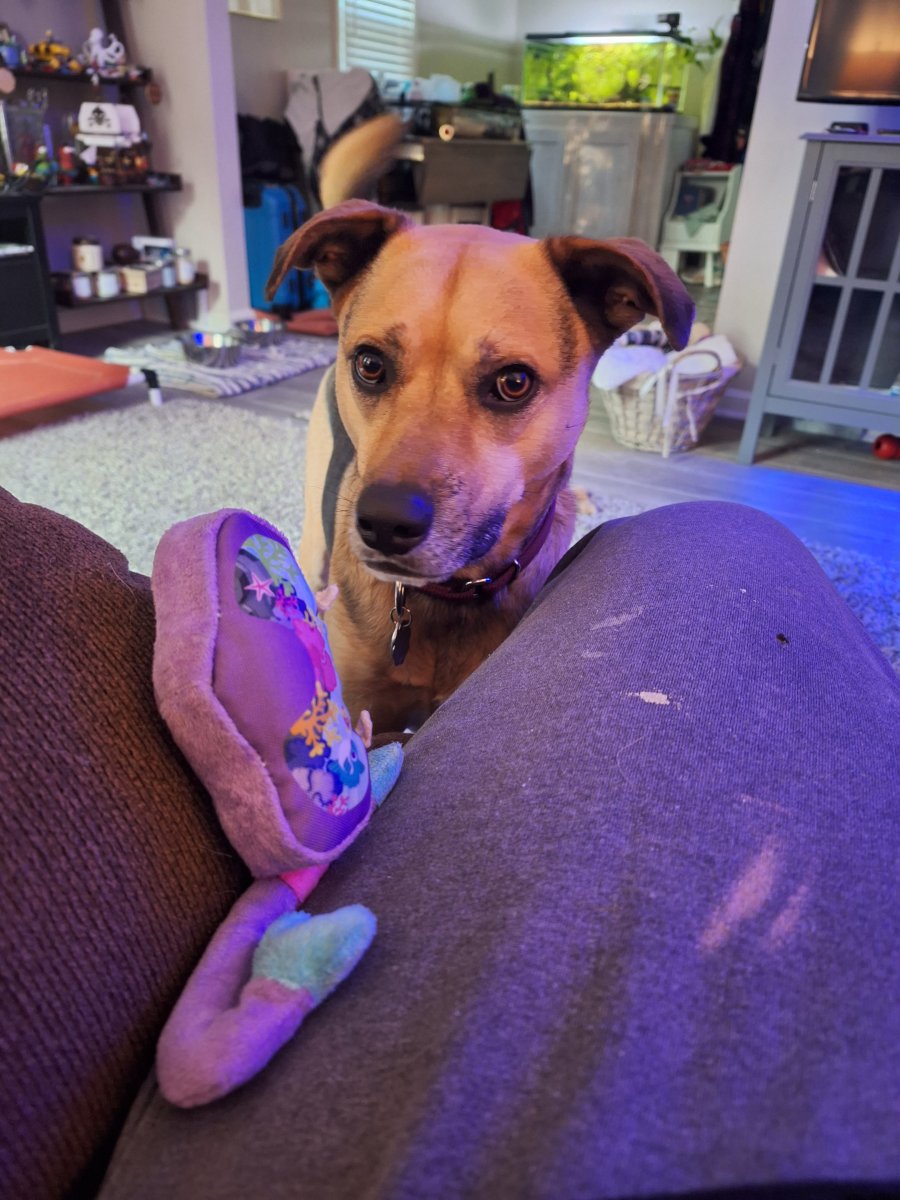 20231018_174917.jpg