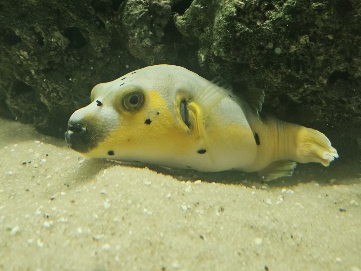 20231026_191712.jpg